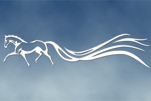 Dressage wave