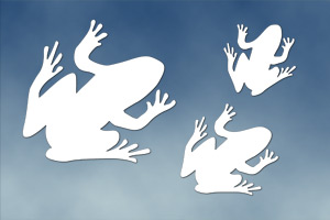 Frogs