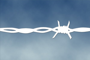 Barbed Wire